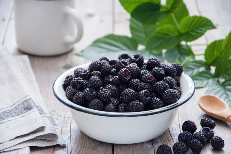 A white enamal bowl of black raspberries with leaves, a jug, a spoon, napkins, and more black raspberries on the table