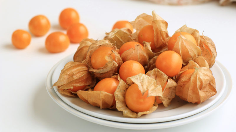 Two small white plates stacked on top of one another, with a pile of cape gooseberries, still in their paper-like shells. Five cape gooseberries without the shells are scattered on the table