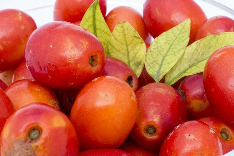 A large collection of fresh red jacote fruits, plus some leaves