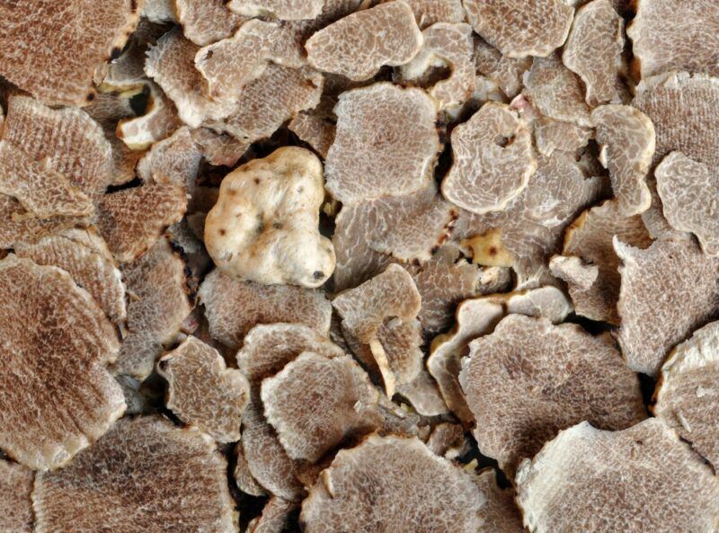 A single whole white truffle and many white truffle shavings