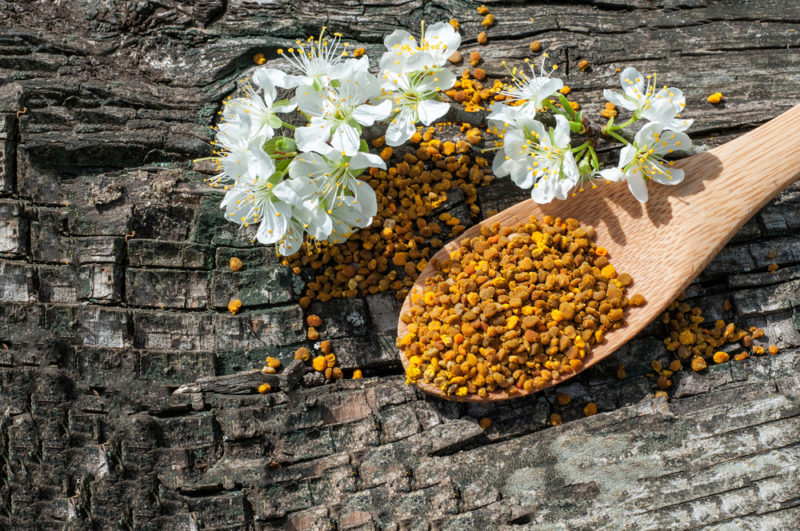 A wooden spoon of bee pollen on a wooden table or stump with flowers