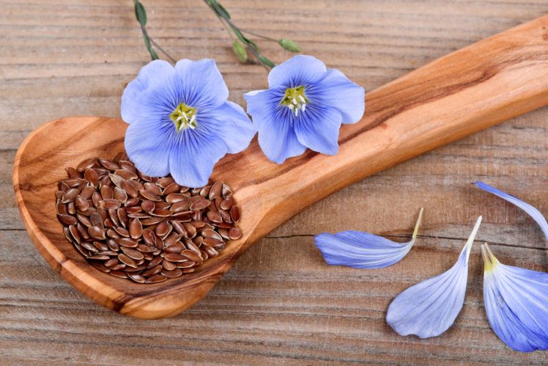 A wooden spoon with flax seeds and light purple flowers