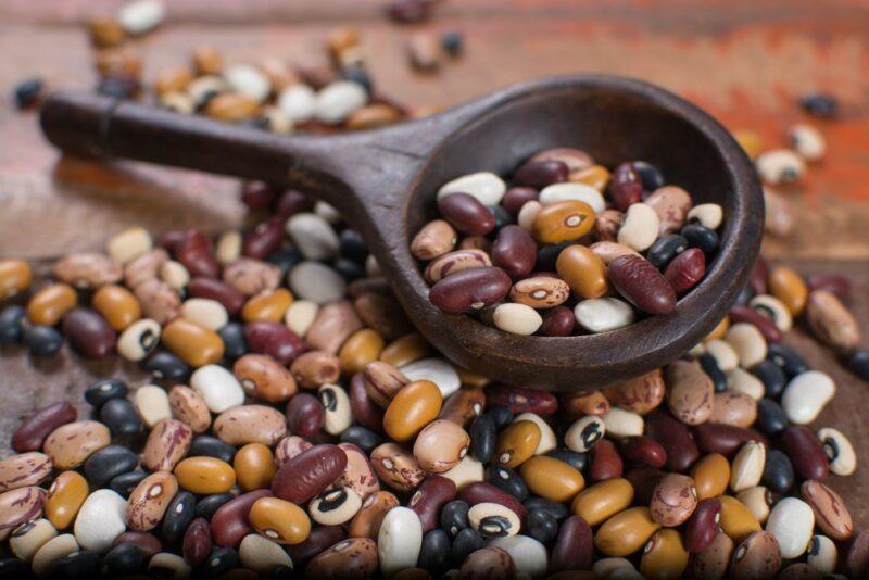 A pile of different dried beans, with a wooden scoop of the beans on top