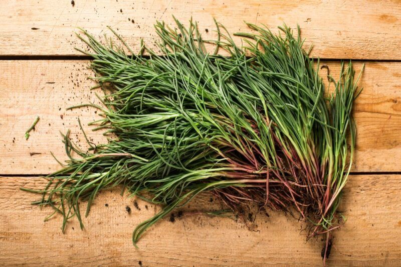 A wooden table with fresh green agretti herbs