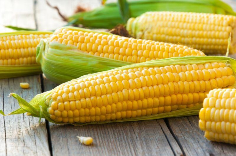 A selection of fresh corn ears on a wooden table