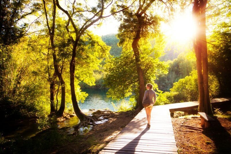 A young woman walking in nature. The sun is bright and shining through the trees