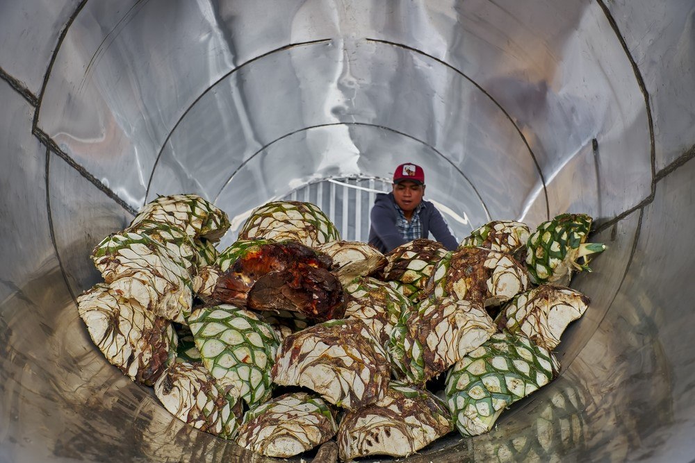 What Is Tequila Made From? Food For Net