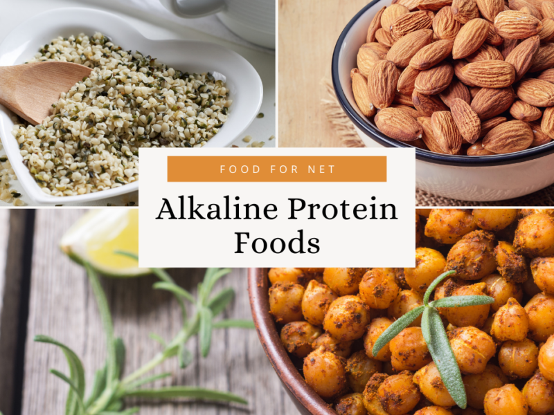 Are PlantBased Protein Bars Good For You? Food For Net