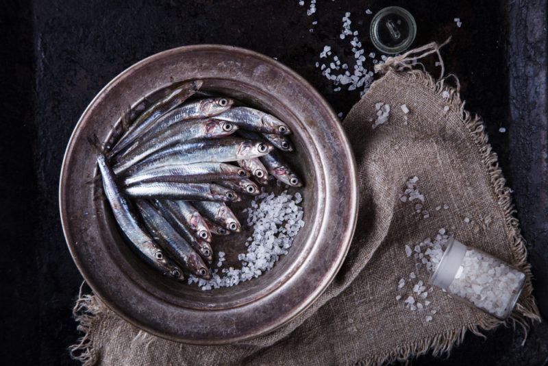 A gray plate that is filled with anchovies against a dark background