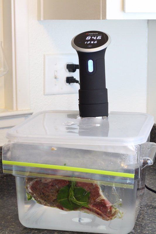 In-Depth Product Review: ANOVA Precision Cooker (an Immersion Circulator  for Sous Vide Cooking with Bluetooth)