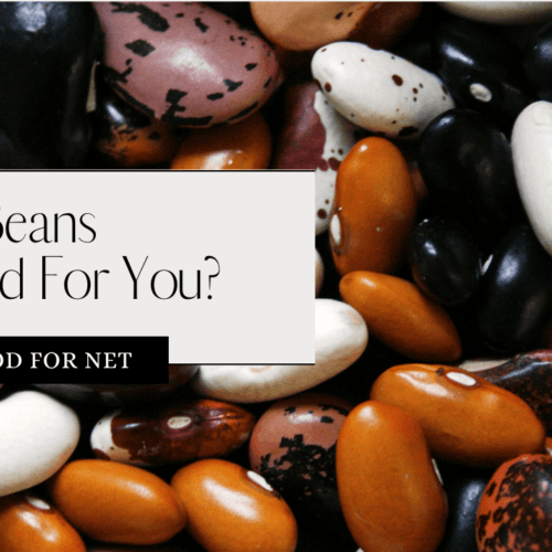 16 Types of Beans the Most Common and the Most Popular Food For Net