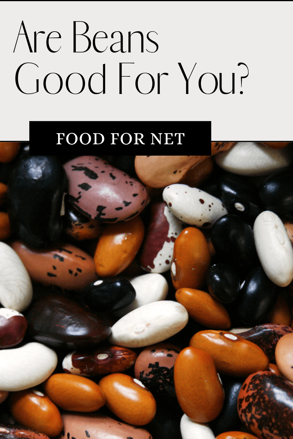 Are Beans Good For You? A pile of dried beans, including orange, white, black and speckled ones