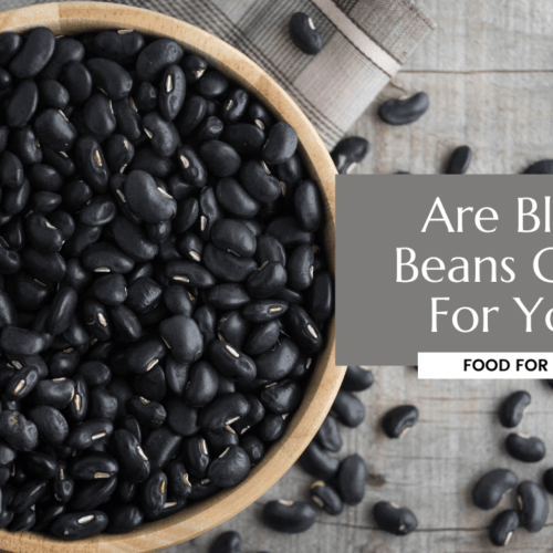 16 Types of Beans the Most Common and the Most Popular Food For Net