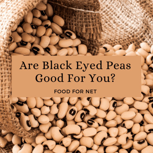 16 Types of Beans the Most Common and the Most Popular Food For Net