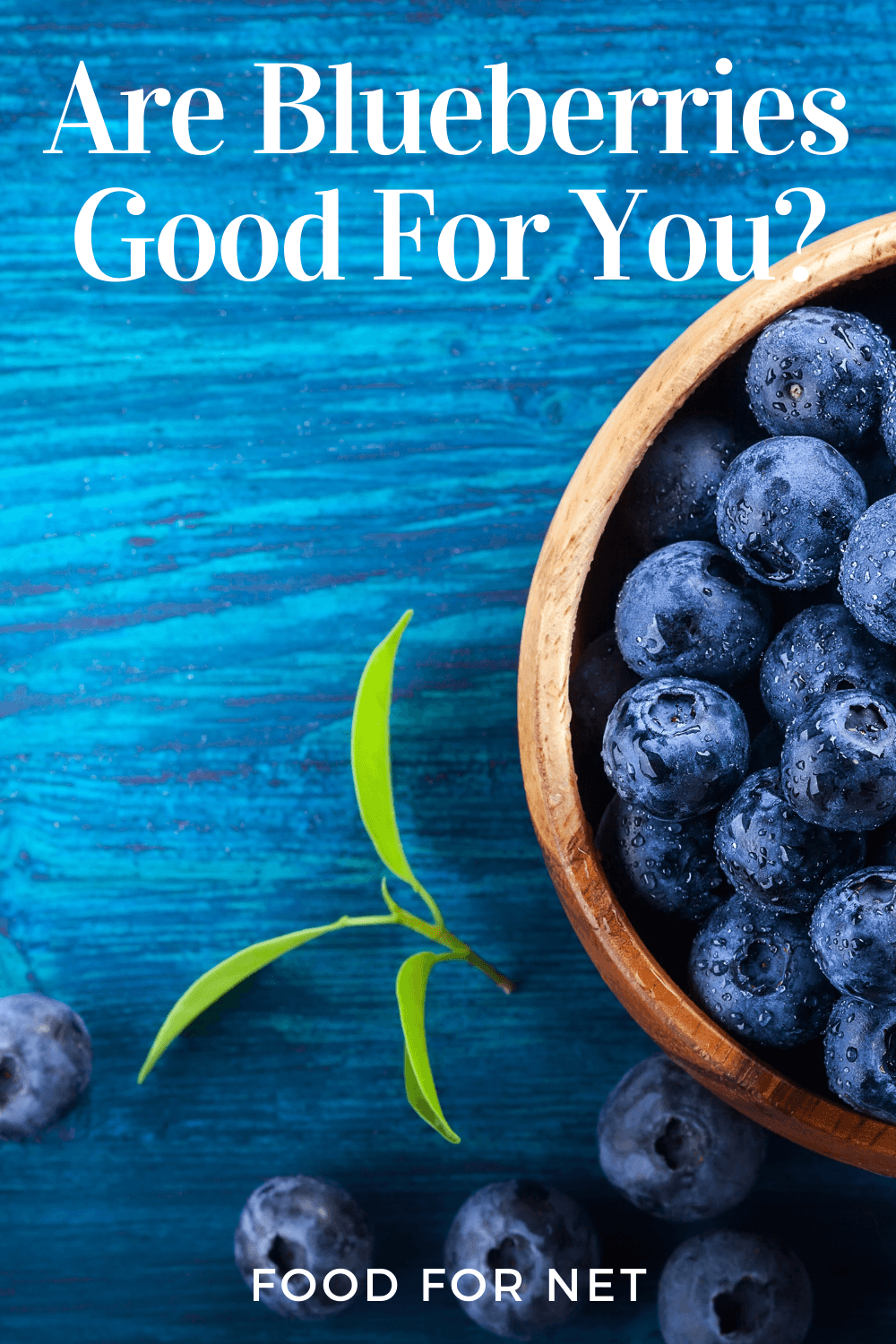 Are Blueberries Good For You? A wooden bowl of blueberries on a bright blue background