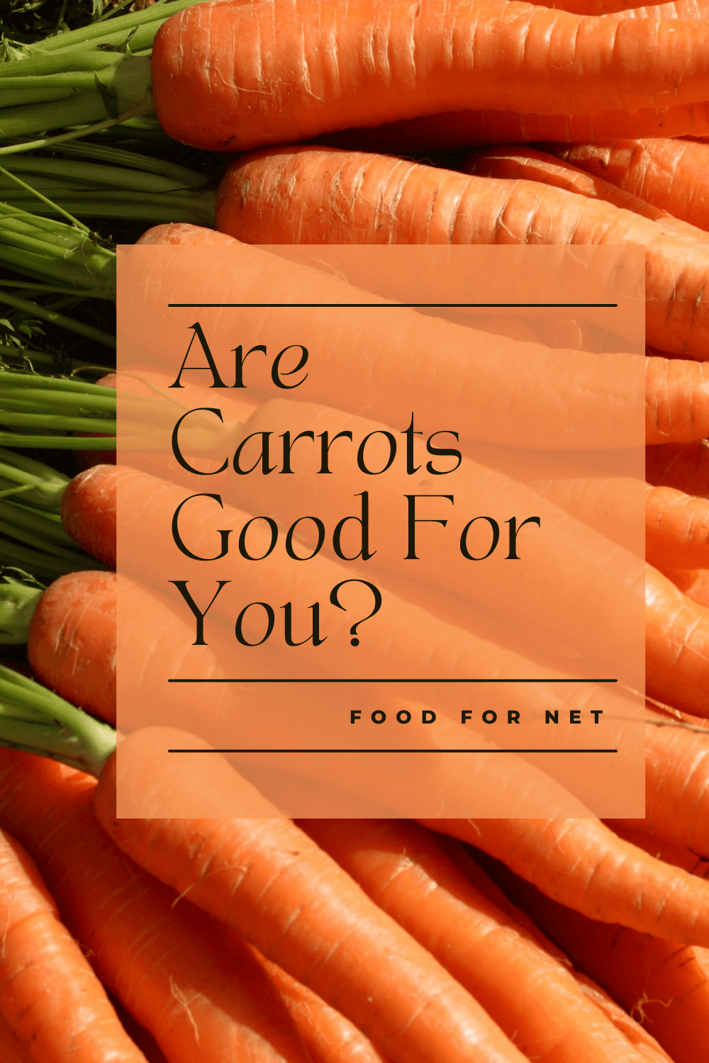 Fresh carrots with green stalks all piled together, highlighting the question of whether carrots are good for you