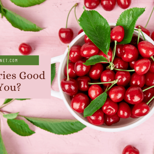 The Best Cherry Brandy Food For Net