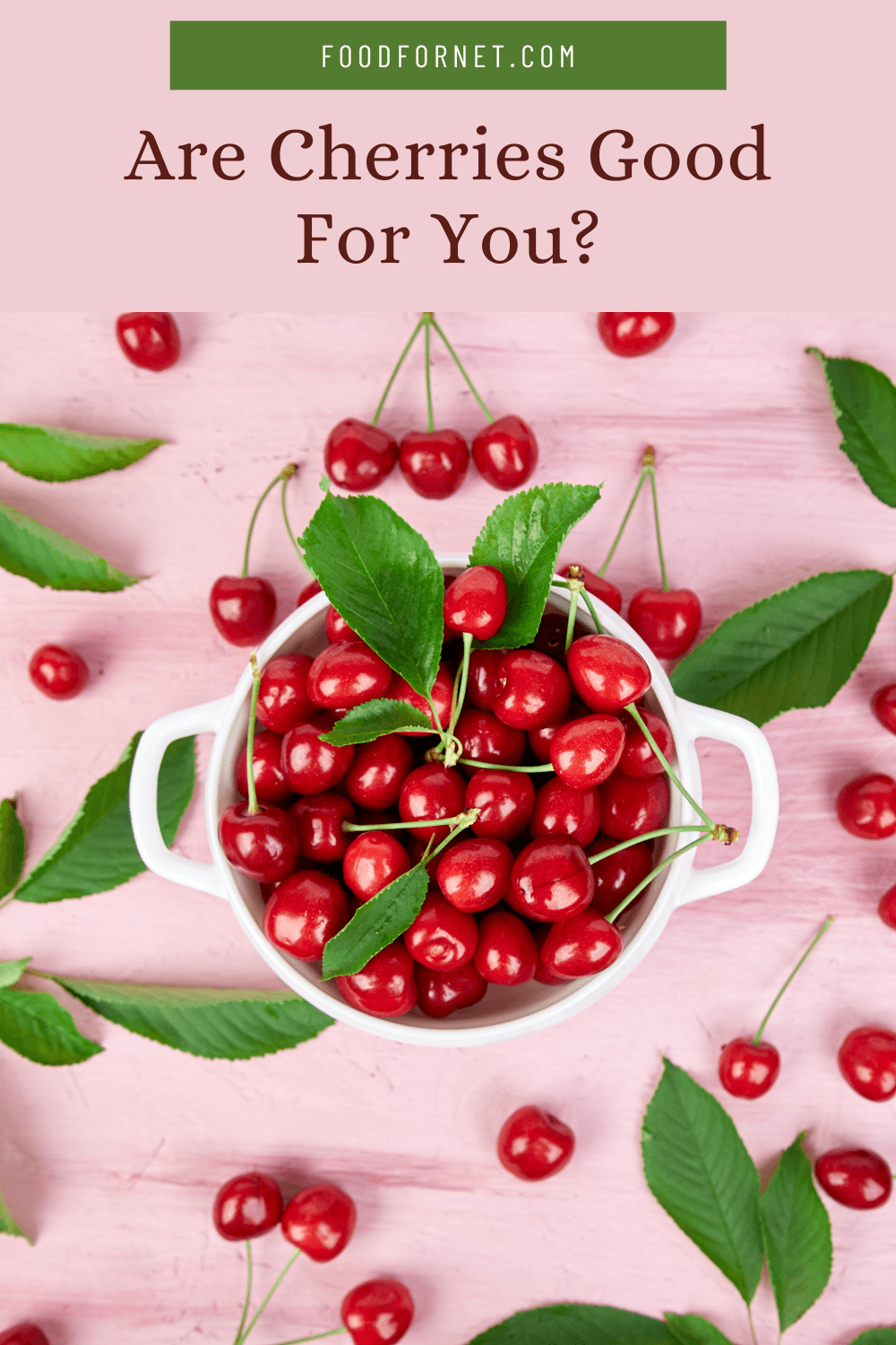 A white bowl of cherries on a pink table with cherries and leaves scattered around, looking at whether cherries are good for you