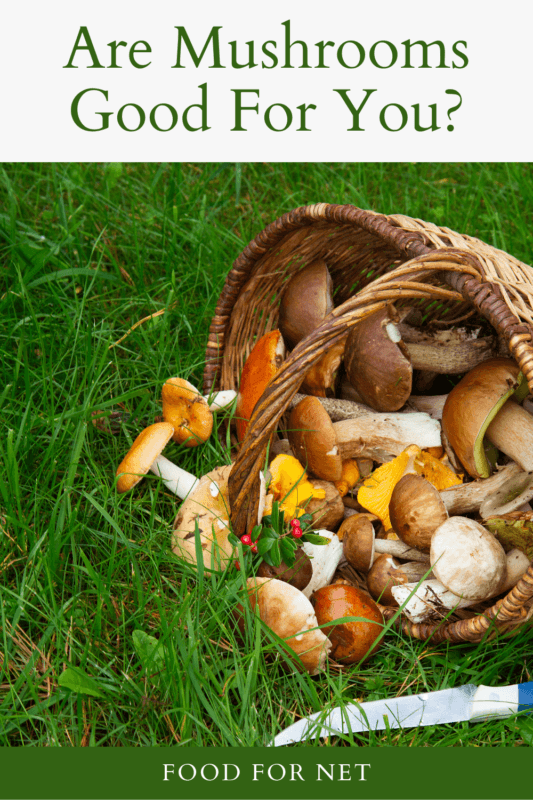Are Mushrooms Good For You? Food For Net