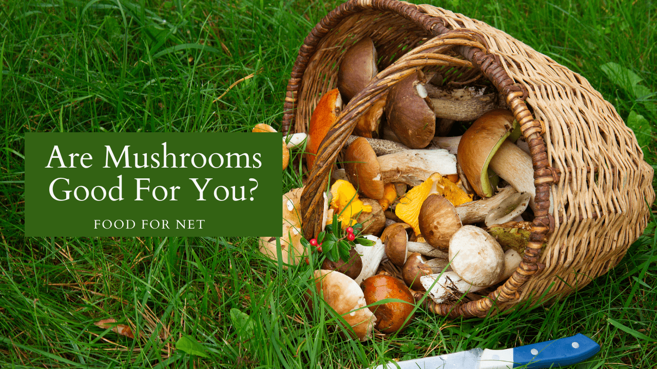 Are Mushrooms Good For You? Food For Net