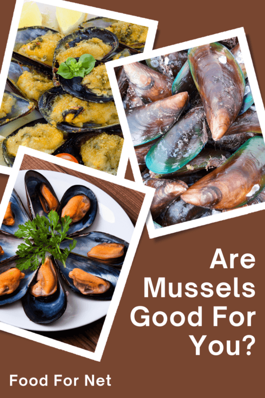 Are Mussels Good For You? Food For Net