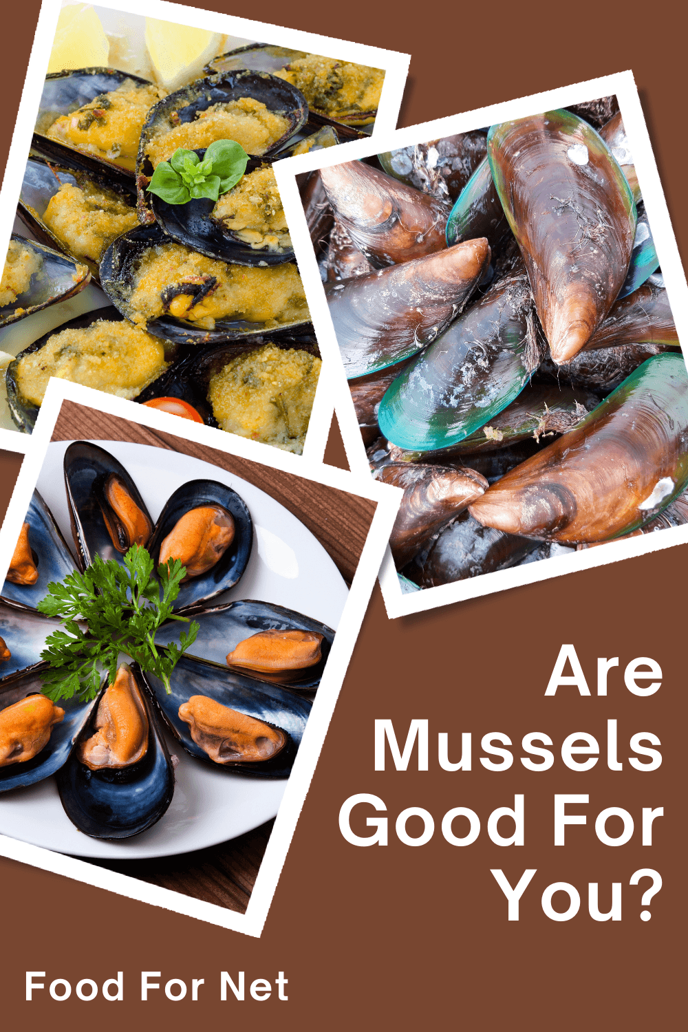 Three images of mussels, highlighting the question of whether mussels are good for you