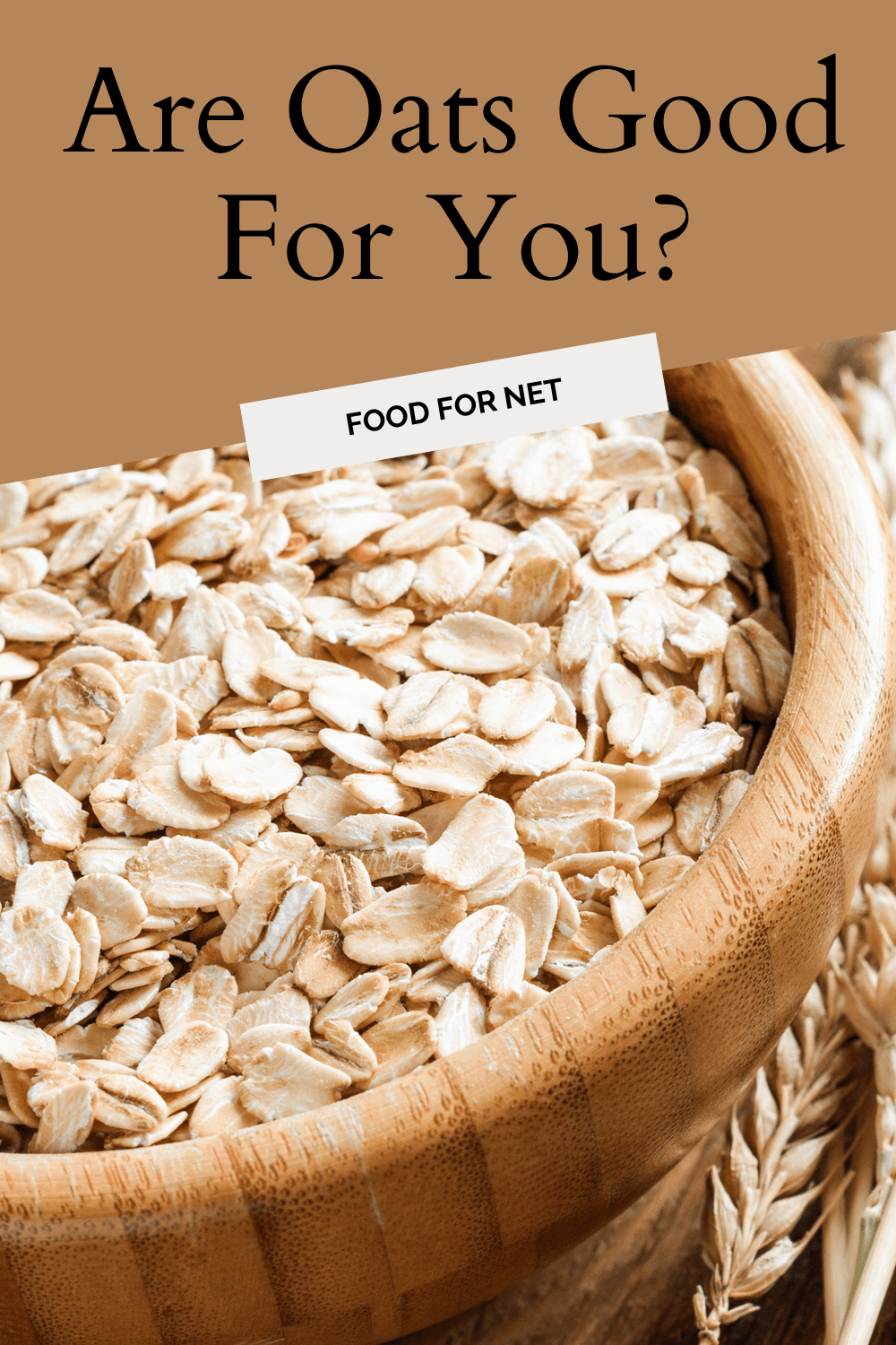 Are Oats Good For You? Food For Net