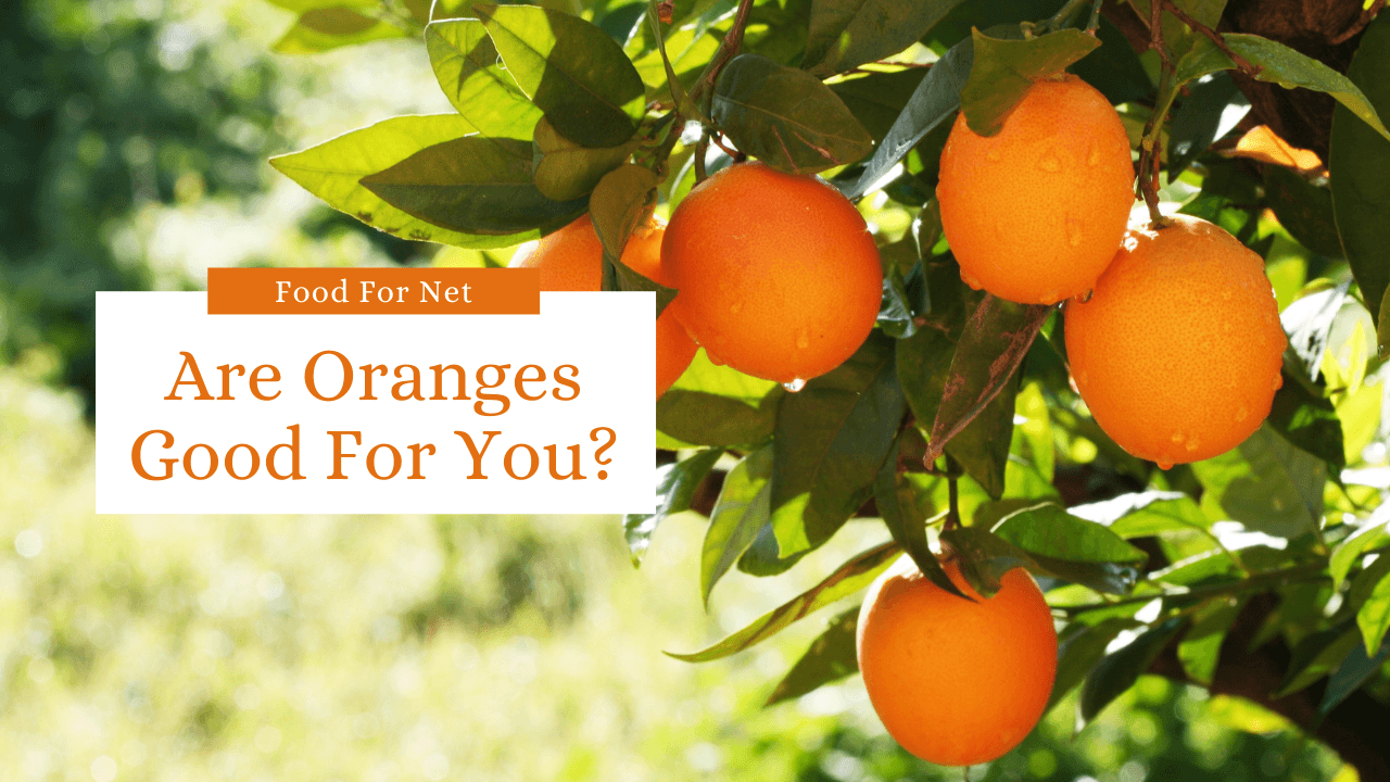 Are Oranges Good For You? Food For Net