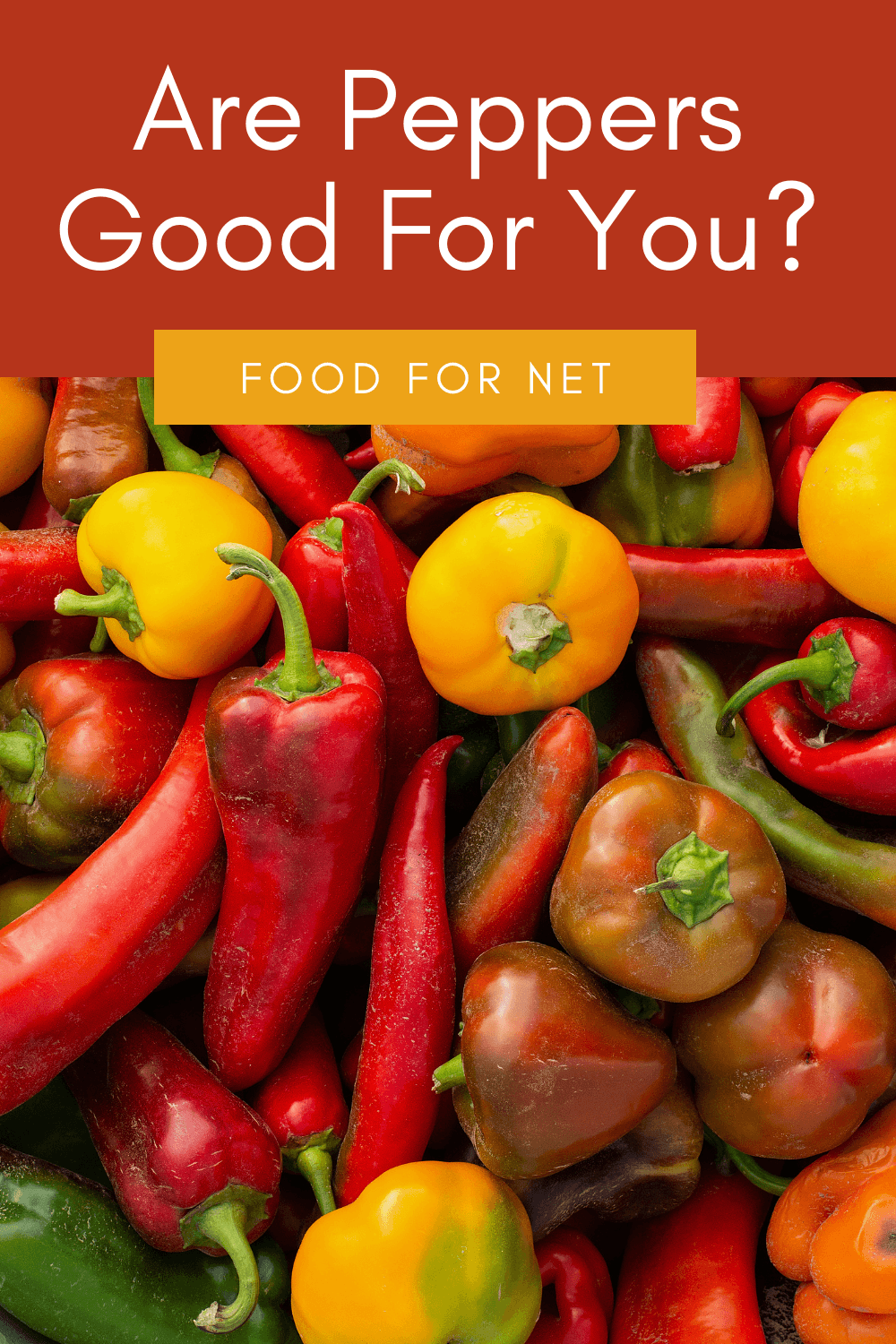 A selection of peppers on a table, including bell peppers and hot peppers, looking at whether peppers are good for you