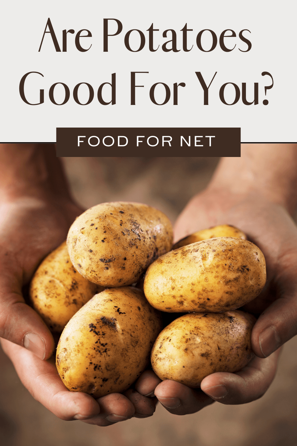 Are Potatoes Good For You? A pair of hands holding potatoes that are still covered in dirt