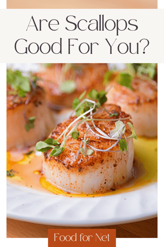 Are Scallops Good For You? Food For Net