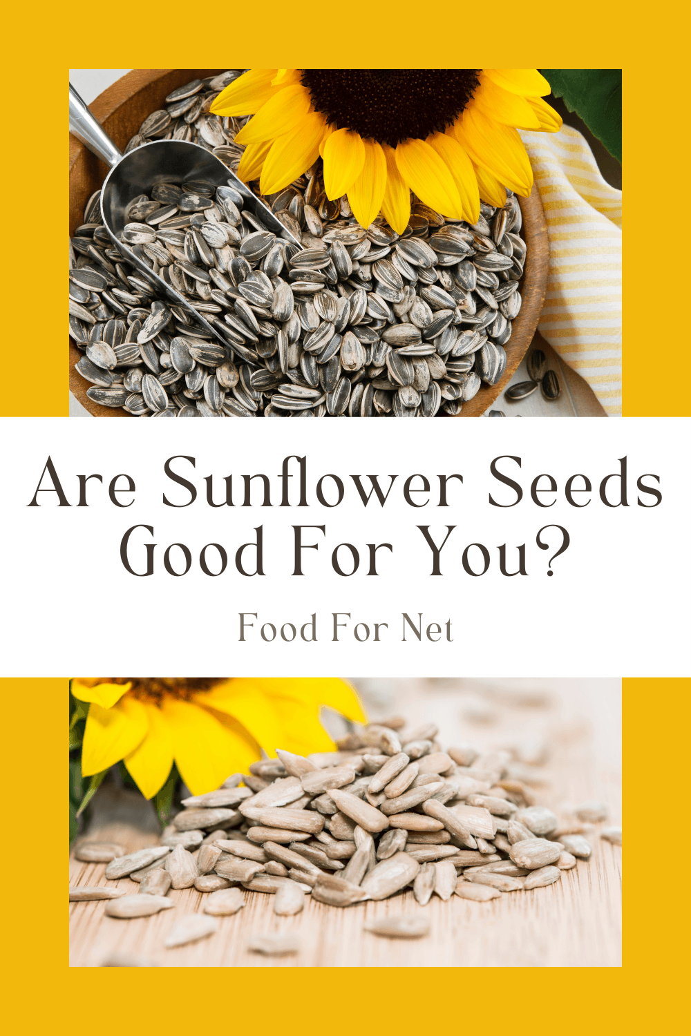 Are Sunflower Seeds Good For You? Two types of sunflower seeds next to sunflowers, highlighting the question of whether sunflower seeds are good for you