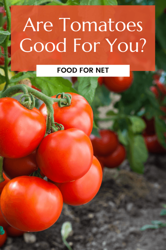 Are Tomatoes Good For You? Food For Net