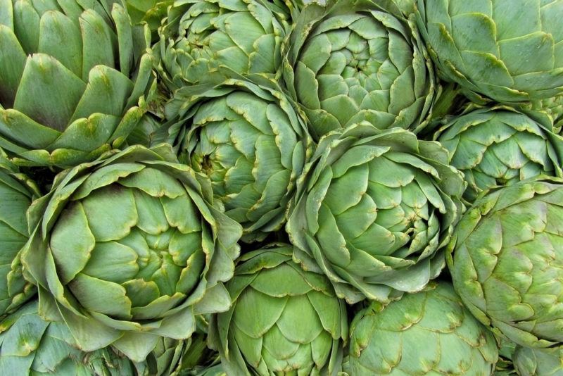 A large number of green artichokes