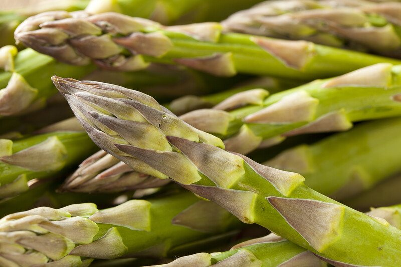 This photo shows a closeup of several spears of green asparagus.