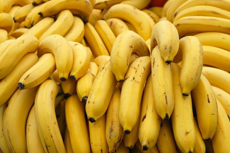 This photo is filled with bunches of yellow bananas.