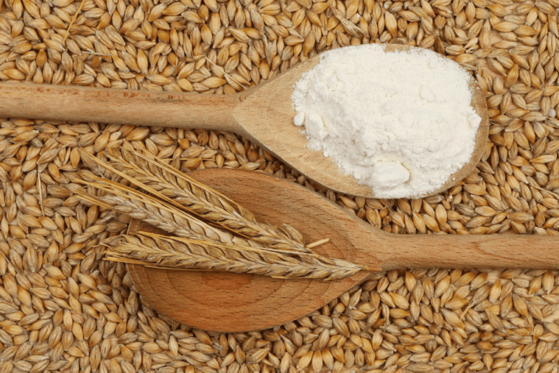 A large pile of barley grains, with a wooden spoon of barley flour and another containing a barley stalk