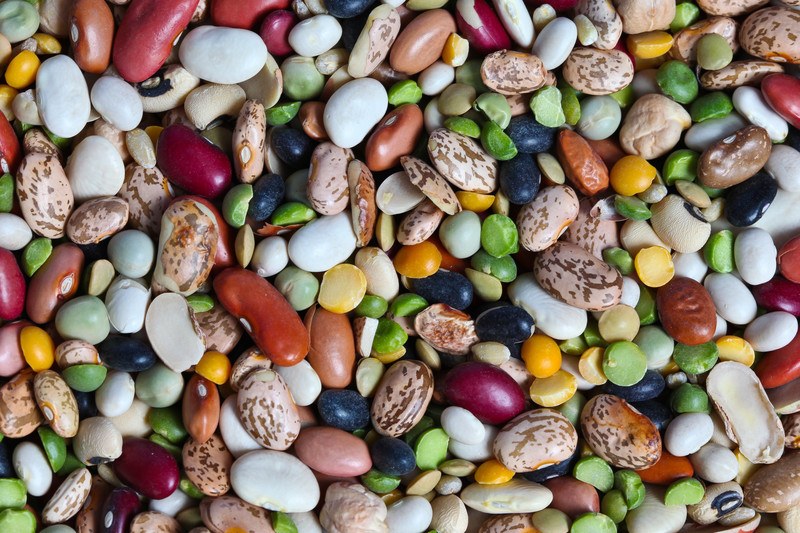 This photo shows an overhead view of several type of beans, including pinto beans, white beans, kidney beans, black beans, yellow lentils, split peas, and more.