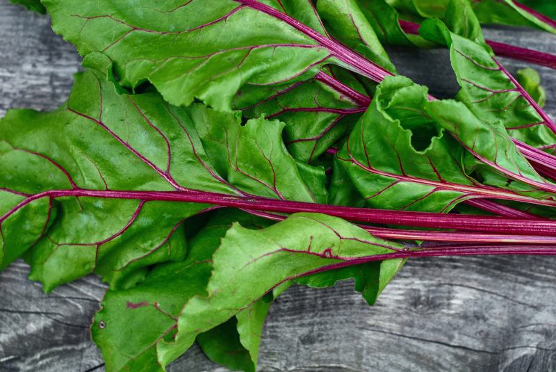 Beet greens on a gray table, showing bright green and red