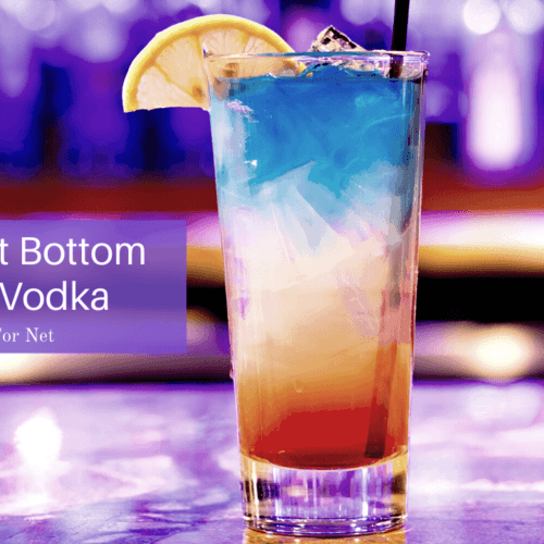 The Best MidRange Vodka Food For Net