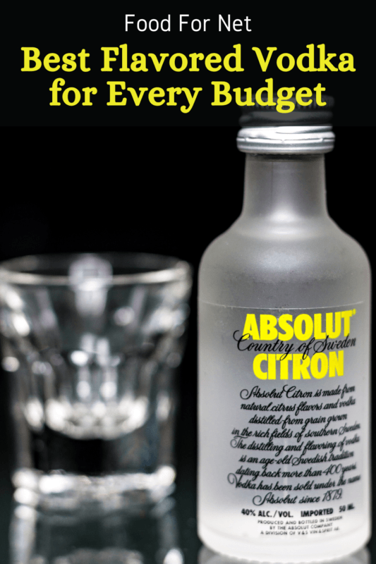 The Best Flavored Vodka For Every Budget Food For Net