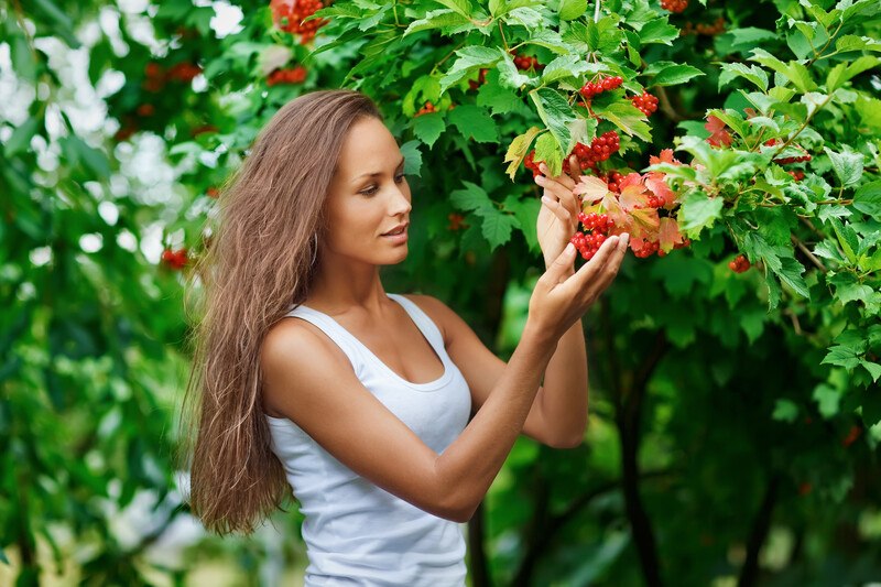 A woman with beautiful long brown hair picks red berries from a green bush, representing the best foods for hair growth.