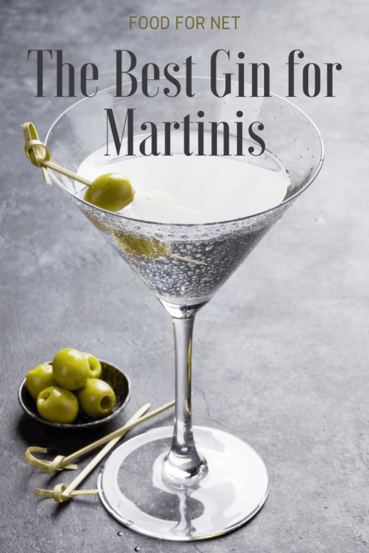 The Best Gin For Martinis Food For Net
