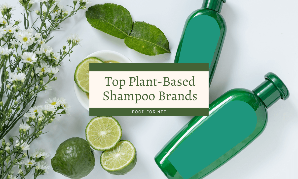 Two green bottles of plant-based shampoo next to some limes, looking at the best brands for plant-based shampoo
