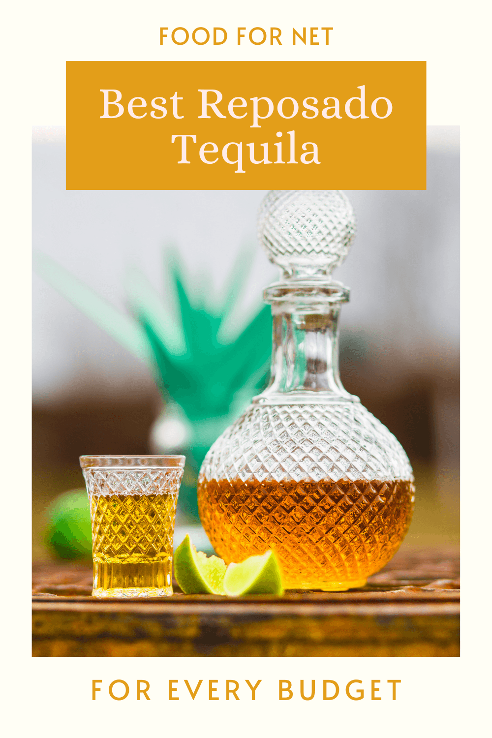 The Best Reposado Tequila For Every Budget Food For Net