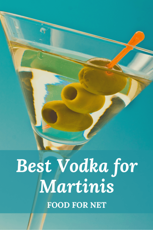 The Best Vodka For Martinis Food For Net