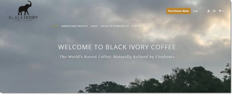 Black Ivory Coffee website screenshot