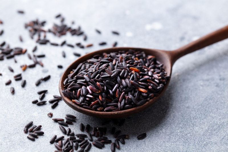 Black rice on a spoon against a gray background