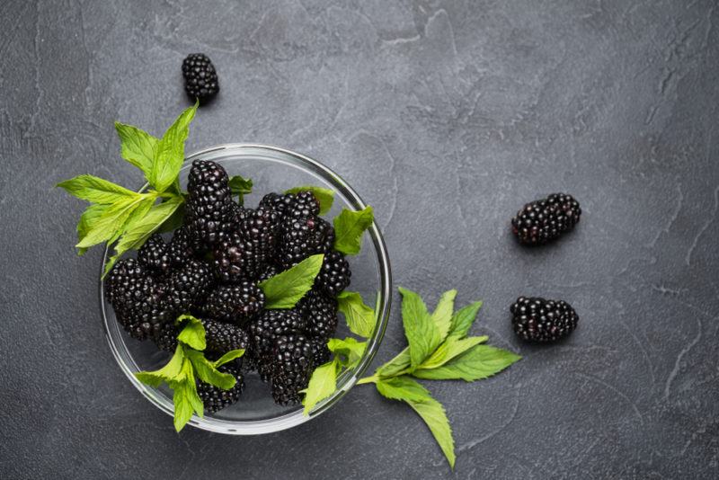 A glass bowl with blackberries on a chalk-colored background