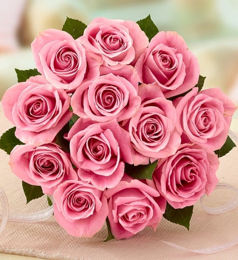 Pink bouquet of roses sitting on its side 